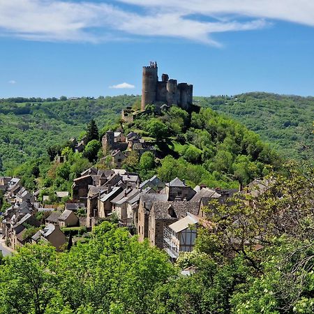 Gite La Baraque Najac Extérieur photo