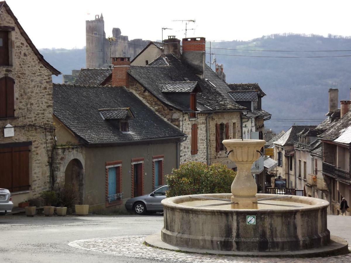 Gite La Baraque Najac Extérieur photo